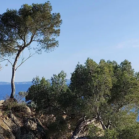 T3, 2ch, Classe 3,parking Gratuit Sur Place A 600m De La Plage, Des Commerces ,du Port Proche St Tropez דירה