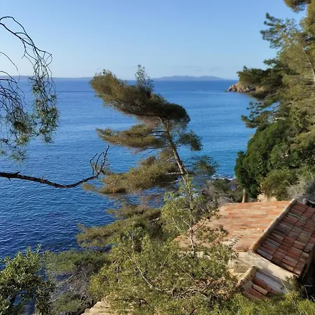 T3, 2ch, Classe 3,parking Gratuit Sur Place A 600m De La Plage, Des Commerces ,du Port Proche St Tropez דירה קבלייר-סור-מר